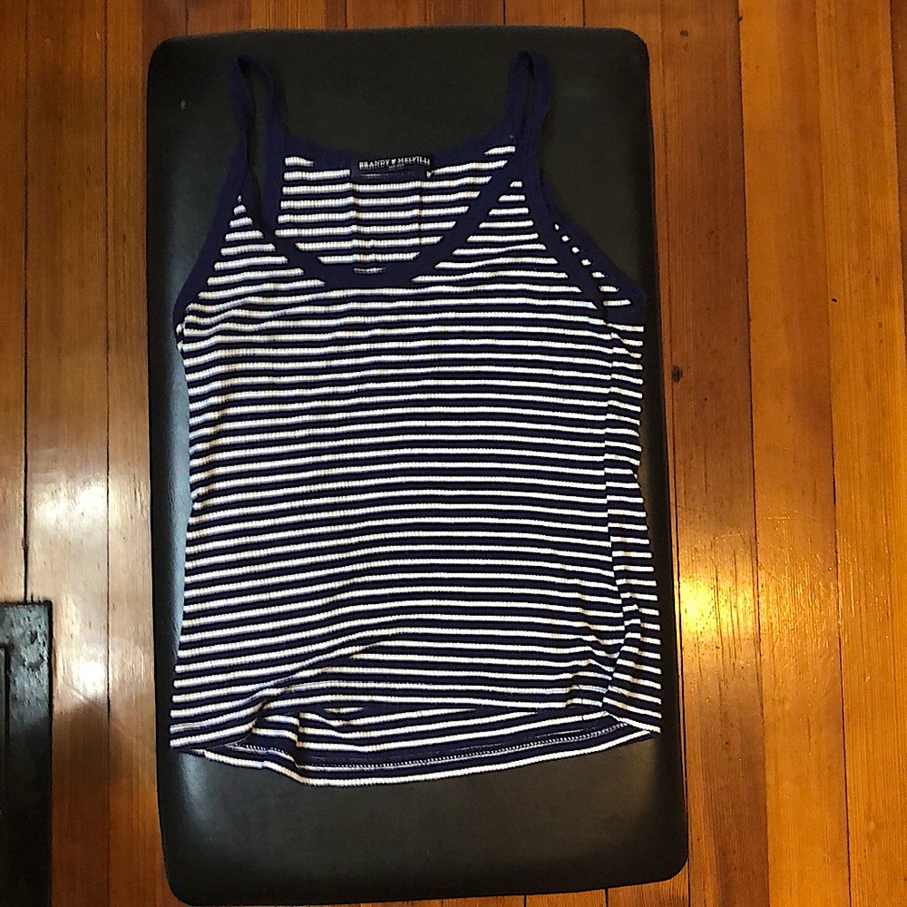 Brandy Melville Blue and White striped crop top